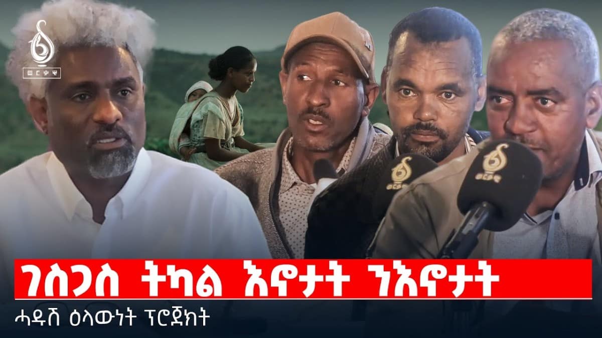 TBS TV| ገስጋስ ትካል እኖታት ንእኖታት | ሓዱሽ ዕላውነት ፕሮጀክት
