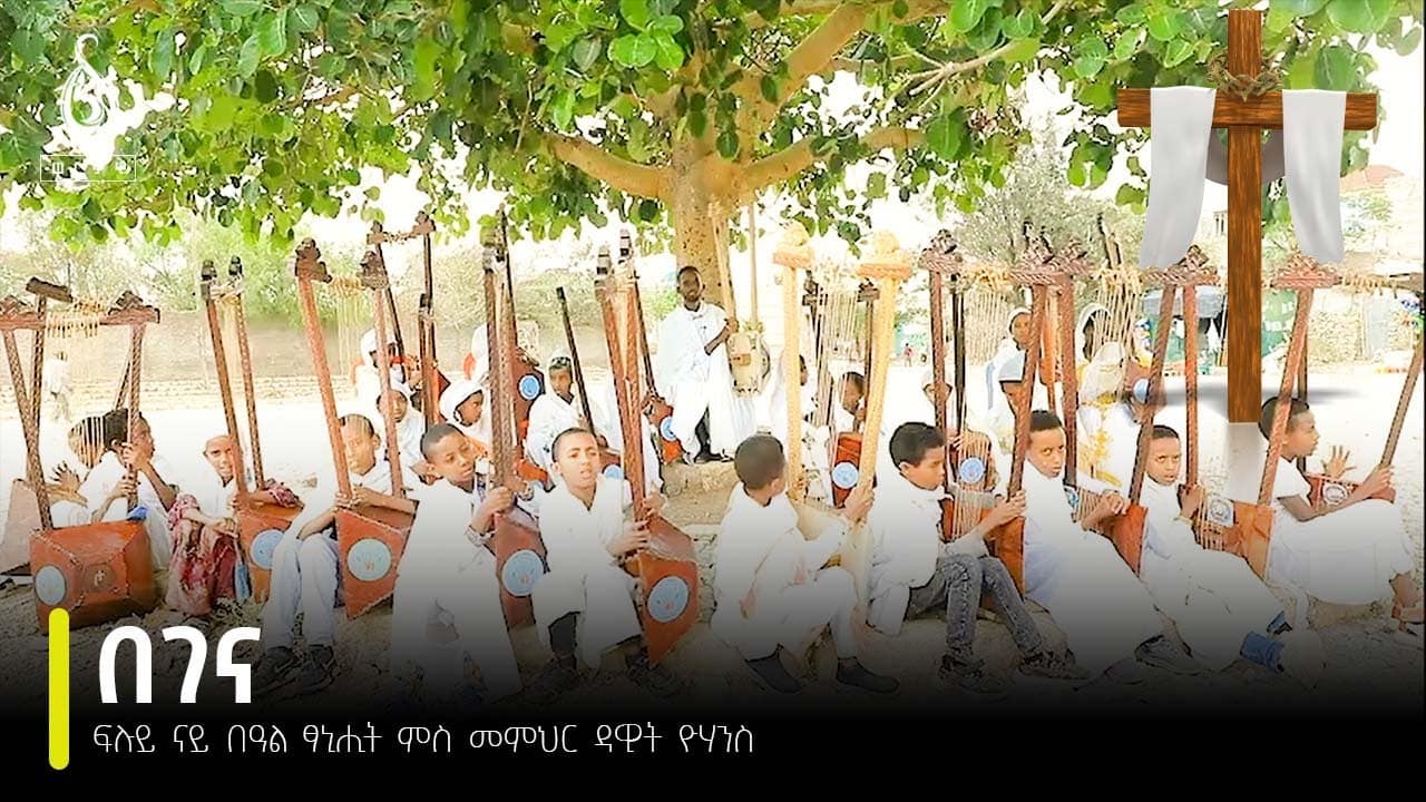 TBS TV| ምስ ናይ በገና መምህር ዳዊት ዮሃንስ ዝተገበረ ፃኒሒት