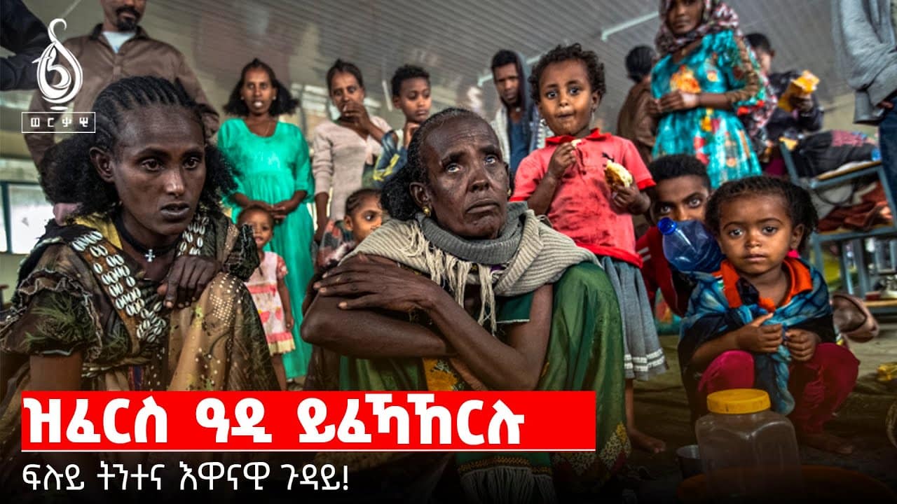 TBS TV| ትንታነ ዝፈርስ ዓዲ ይፈኻኸርሉ፡ ዝድሕን ዓዲ ይመኻኸርሉ! Tbs Analysis!