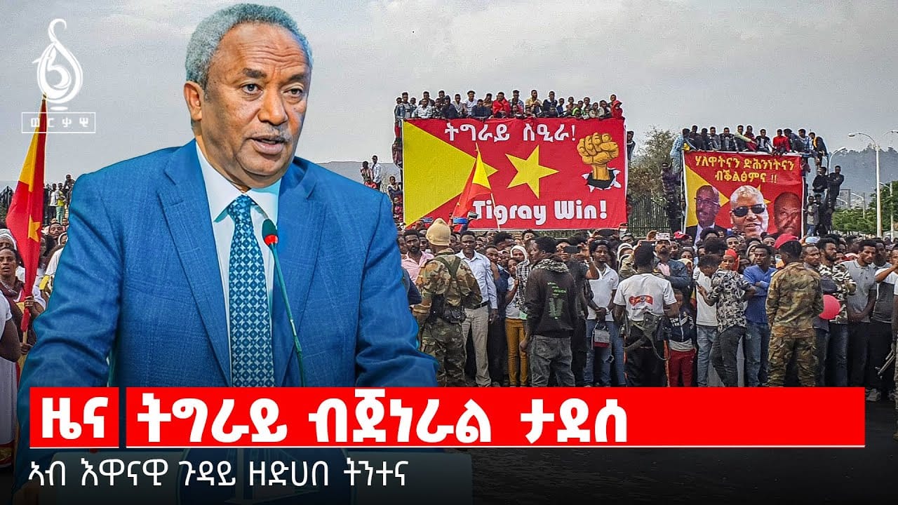 🔴TBS TV| ትግራይ ብጀነራል ታደሰ // ኣብ እዋናዊ ጉዳይ ዘድሃበ ፍሉይ ትንተና ቲቢኤስ