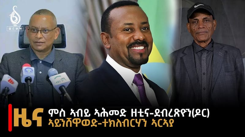 TBS TV| ዜና ብራኸ 20 ሓምለ 2016 ኣ.ግ ምስ ኣብዪ ኣሕመድ ዘቲና- ደብረፅዮን ገብረሚካኢል(ዶ/ር)/ ኣይንሸዋወድ-ተኽለብርሃን ኣርኣያ //News//