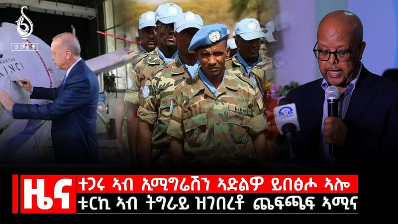 TBS TV| ዜና ብራኸ: 26 ሓምለ 2016 ኣ.ግ ተጋሩ ኣብ ኢሚግሬሽን ኣድልዎ ይበፅሖም ኣሎ/ ቱርኪ ኣብ ትግራይ ዝገበረቶ ጨፍጫፍ ኣሚና