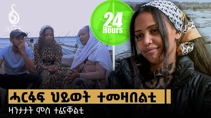 TBS TV| ሓርፋፍ ህይወት ተመዛበልቲ