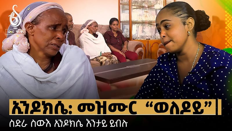 TBS TV| Welodoy ምስ ስድራ ስውእ ኢንዶክሴ ዝተገብረ ፍሉይ ፃንሒት