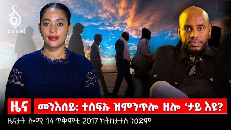 TBS TV|መግለፂ ቢሮ ሰለምን ፀጥታን/ማእሰርቲ ጋዘጠኛ/ስደት መናእሰይ/ዘይተዓረቑ መራሕቲ ክሳብ መዓዝ