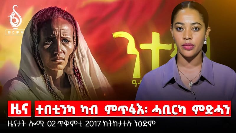 TBS TV|ዓብዪ መተአኻኸቢ እቶት-ንተወ/ኣንበጣን ዓሶን-ሓዱሽ ጠመተ/ዞባዊ ምዕበለታት ንትግራይ