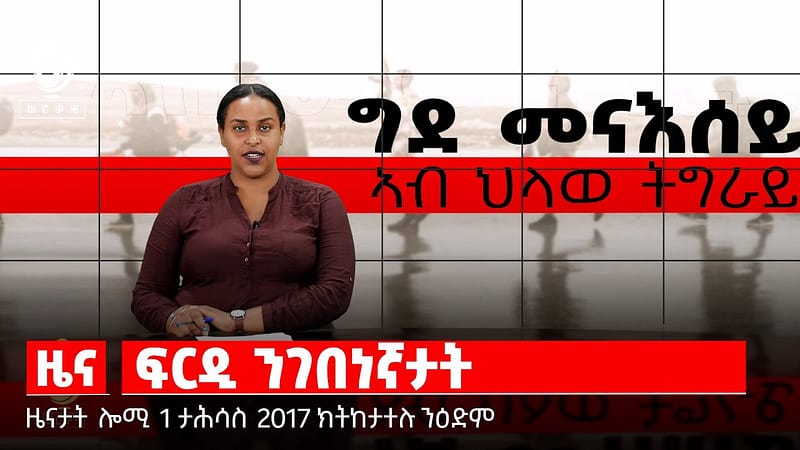 TBS TV| ፍርዲ ንገበናኛታት /ታሪኽ መፅሓፍ ኣክሱም / ዓለምለኸ መዓልቲ ሕማም ሳምባ ምቺ / ፋብሪካ ወርቂ ሜሊ-ኢዛና