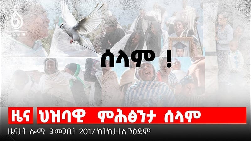 TBS TV| ዘምረረ ፕረዚደንትነት| መፀዋዕታ ፈደራል | ዓዲጉደም ከም ምልክት