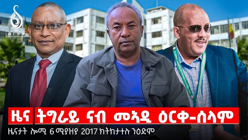 TBS TV| ትግራይ ናብ መኣዲ ዕርቀ-ሰላም | ብድዐ ኤጀንሲ ንግድን ሰደድን | ኣፈላላይ ውድብን መንግስትን