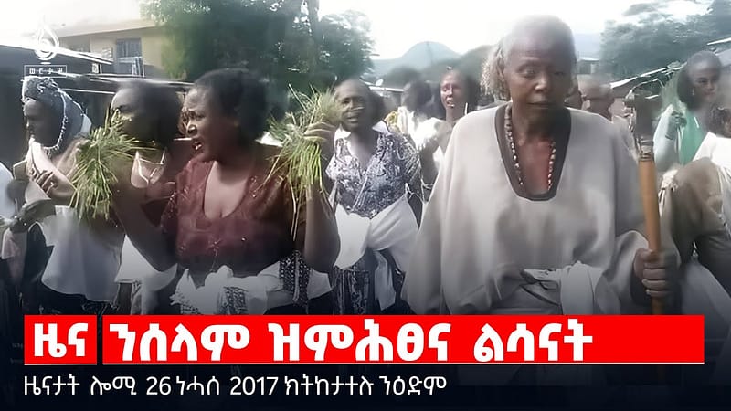 🔴TBS TV| ንሰላም ዝምሕፀና ልሳናት | ፍፃመታት ቐዳመ ሰናብቲ | መኾኒ ሓይሊ ትሕሰም | ሓለዋ ህላወ ትግራይ | ናፃ ፕረስን ምልክን