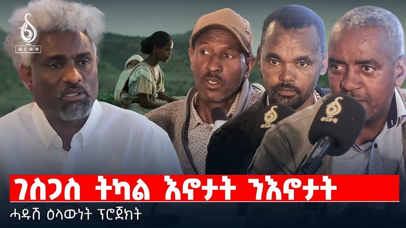 TBS TV| ገስጋስ ትካል እኖታት ንእኖታት | ሓዱሽ ዕላውነት ፕሮጀክት